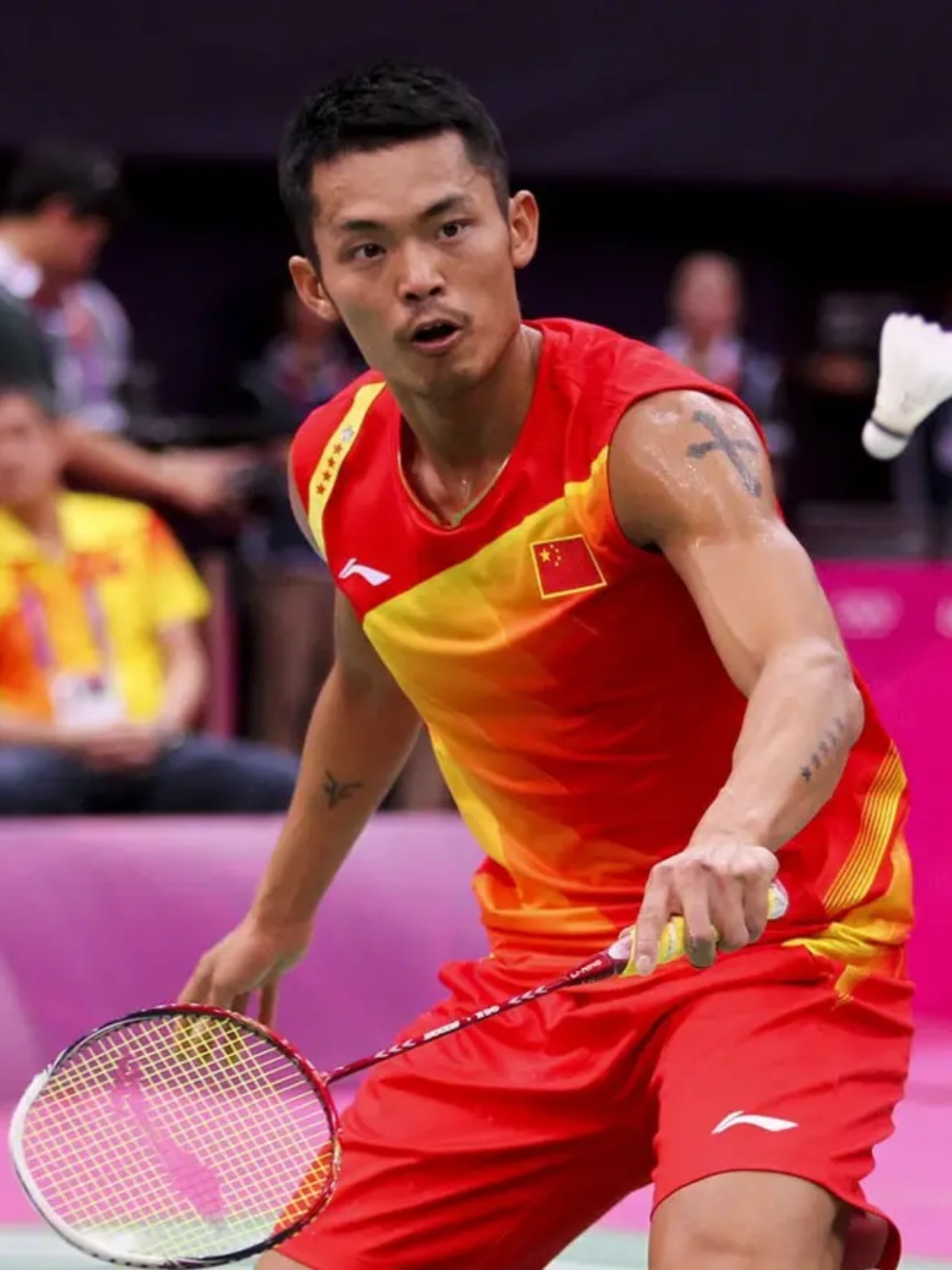 这是她多年 这是她多年