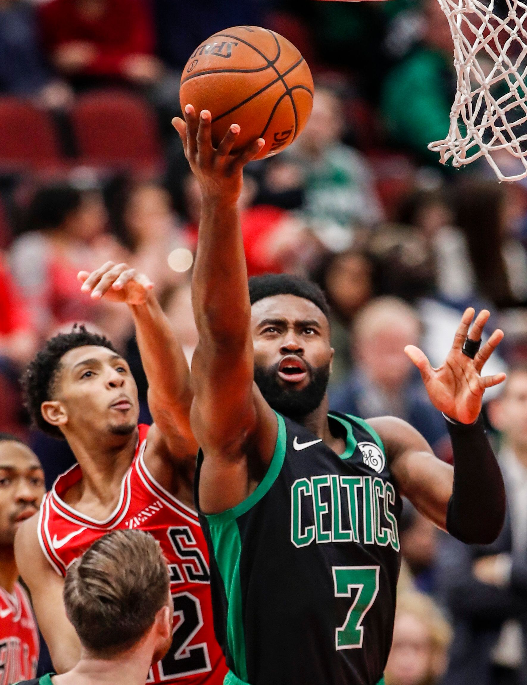 构成了完整 构成了完整